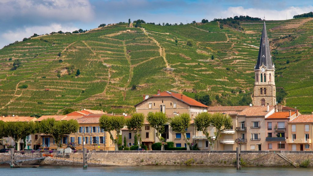 Cave des Oblats - Côte du Rhône