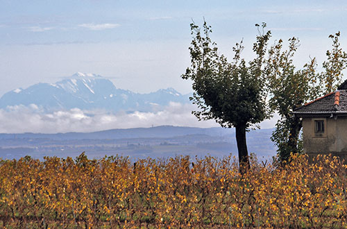 beaujolais